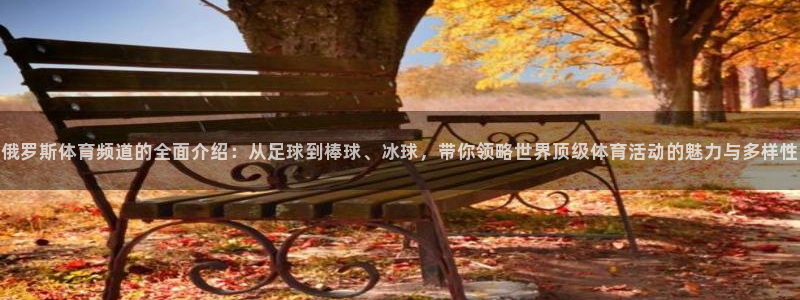 678体育官网：俄罗斯体育频道的全面介绍：从足球到棒球、冰球，带你领略世界顶级体育活动的魅力与多样性