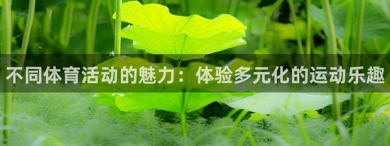 678体育：不同体育活动的魅力：体验多元化的运动乐趣