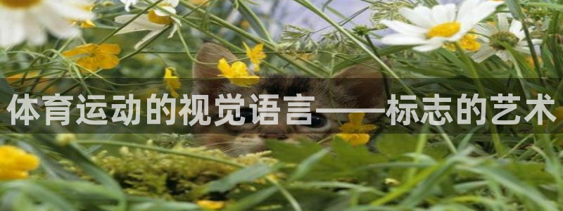 678体育官网下载：体育运动的视觉语言——标志的艺术