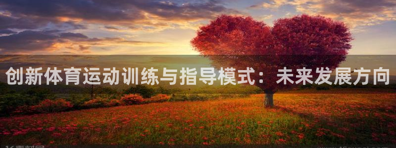 678体育知识：创新体育运动训练与指导模式：未来发展方向