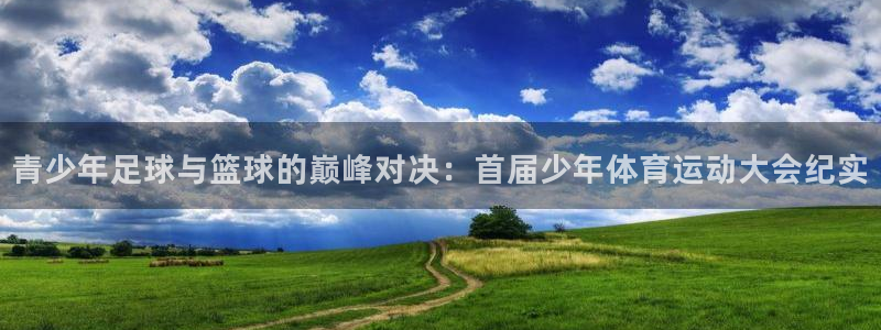678体育官网下载：青少年足球与篮球的巅峰对决：首届少年体育运动大会纪实