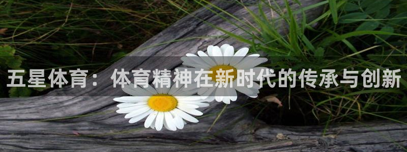 皇冠678体育：五星体育：体育精神在新时代的传承与创新