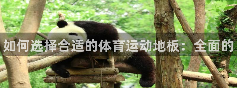 678体育：如何选择合适的体育运动地板：全面的