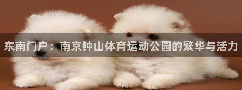 678体育官网：东南门户：南京钟山体育运动公园的繁华与活力