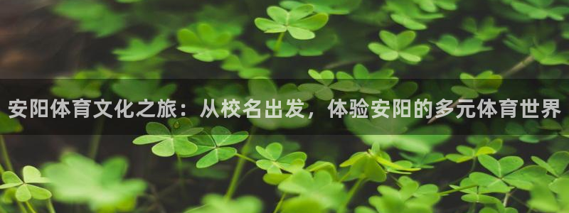 678体育：安阳体育文化之旅：从校名出发，体验安阳的多元体育世界